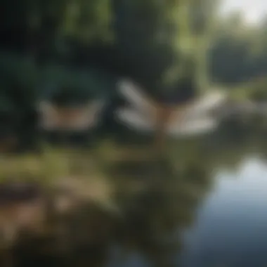 Dragonflies hovering above a newly formed pond