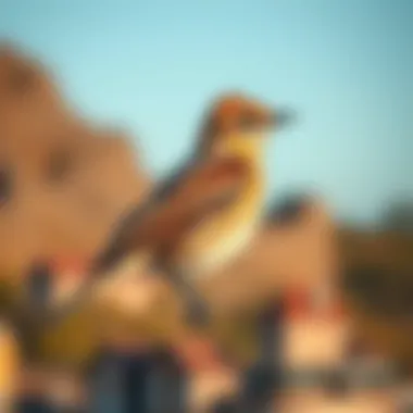 Premier Birding Destinations Around the Globe Introduction