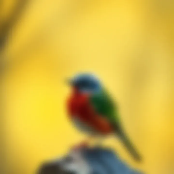 Premier Birding Destinations Around the Globe Summary