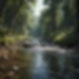 Illustration of a pristine river flowing through a lush forest