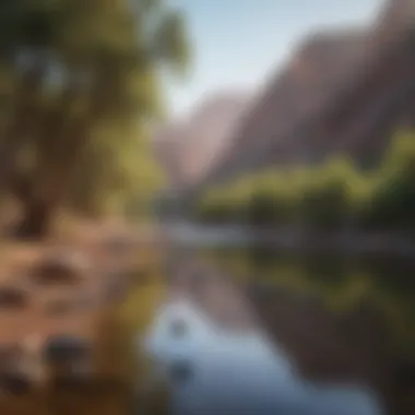 Calico's Pristine River Reflecting Morning Light