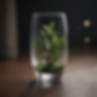 DIY Glass Vase Transformation Ideas