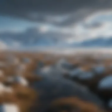 Arctic Tundra Landscape