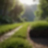 Recycled turf material being transformed into eco-friendly product