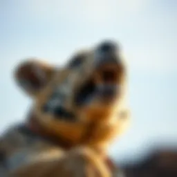 Recycling Electronics: A Comprehensive Guide to Responsible Disposal Introduction