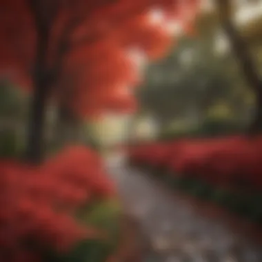 Sustainable landscaping design with red foliage
