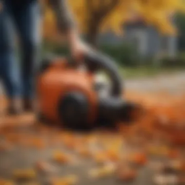 Leaf Blower in Action