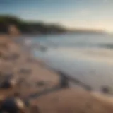 Fishing Rod on Rhode Island Shoreline