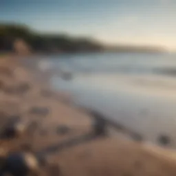 Fishing Rod on Rhode Island Shoreline