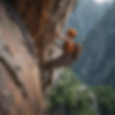Conquer Heights Through Rock Climbing Thrilling Rock Climbing
