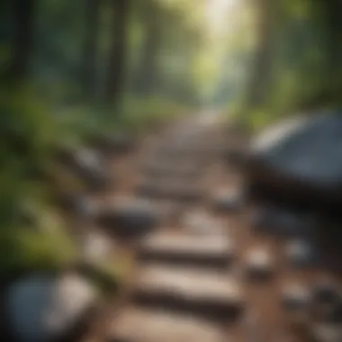 Rocky Pathway on Pisgah Mountain Trail