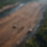 Aerial view of Royal Carting Dump affecting surrounding ecosystem