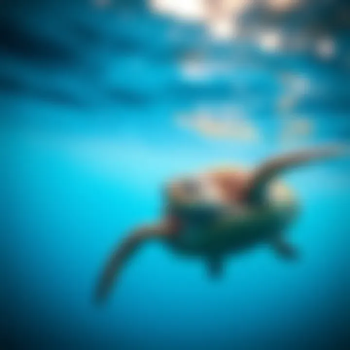 Notable Sea Turtles in Danger: An In-Depth Examination of Threats and Conservation Efforts