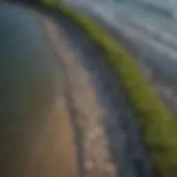 Aerial view of a restored seawall showcasing the integration of natural elements