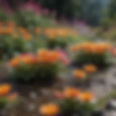 Diversity of Flowers in Various Hardiness Zones Colorful flowers thriving in different environments