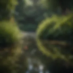 A tranquil pond showcasing diverse aquatic plants and fish species