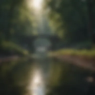 Tranquil Beauty of NYC Water Supply Lands Serene Nature of NYC Water Supply Lands