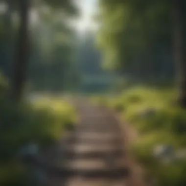 Tranquil Lake Path Exploration Serenity Lake Trail