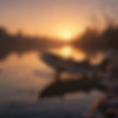 Silhouette of a catfish against a stunning sunset backdrop