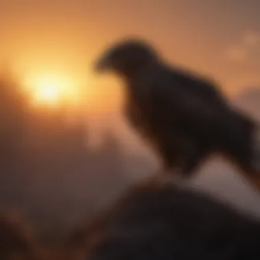 Silhouette of a raptor against the setting sun