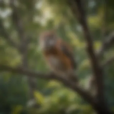 Promotional materials for tree trimming business