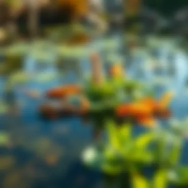 Balanced Pond Ecosystem A tranquil new pond showcasing balanced ecological interactions.