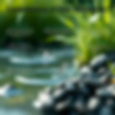 Infographic on the impacts of poor stormwater management