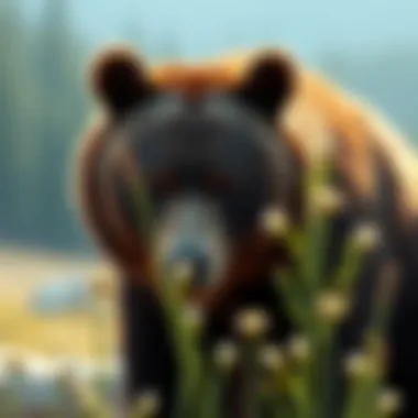 Notable Strategies for Utilizing Bear Proof Storage Bins in Environmental Management Notable Strategies for Utilizing Bear Proof Storage Bins in Environmental Management