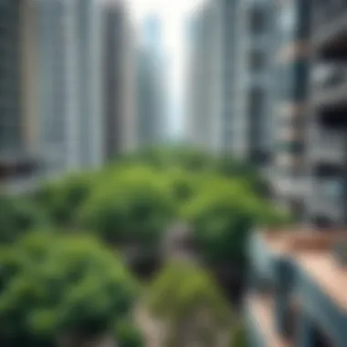 Greening Urban Environments A lush green park amidst concrete buildings