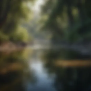 Case study visuals showcasing successful water management strategies