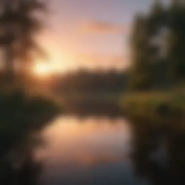 Sunset Reflection on Pond Water