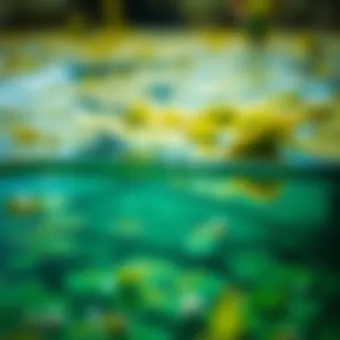 Illustration highlighting sustainable practices in algal bloom management with GreenClean Pro