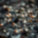 The Complex Landscape of Oil Trash: Understanding and Addressing Its Impact Introduction