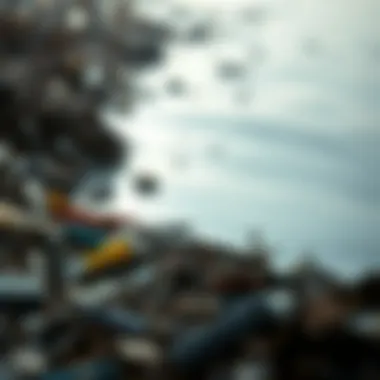 Notable The Complex Landscape of Oil Trash: Understanding and Addressing Its Impact