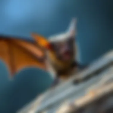 The Comprehensive Guide to Bat Removal in My Area Introduction The Comprehensive Guide to Bat Removal in My Area Introduction