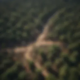 Aerial view of a deforested landscape showcasing the impact of climate change on biodiversity.