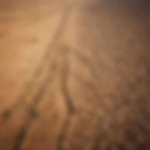 Aerial view of a drought-affected landscape highlighting the impacts of climate change.