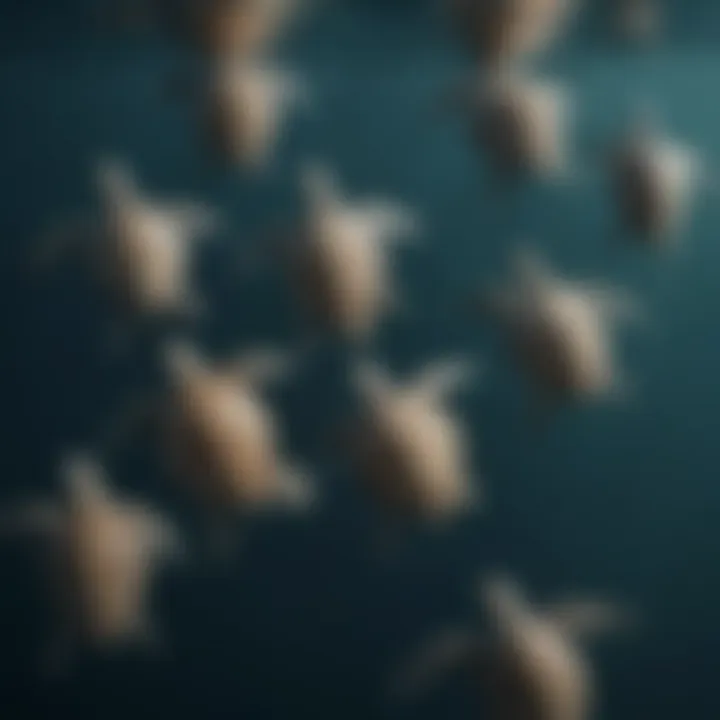 An aerial view of a flock of sea turtles swimming together in the ocean.