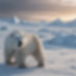 Dramatic effects of climate change on a polar landscape