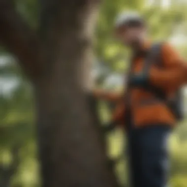 A professional arborist assessing a tree's health in a residential area