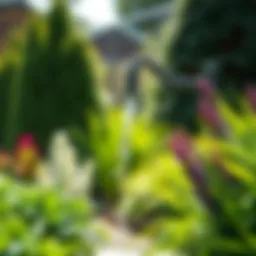 Elegant rain spout integrated into a lush garden