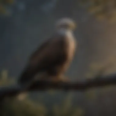 An eagle perched on a branch during dusk