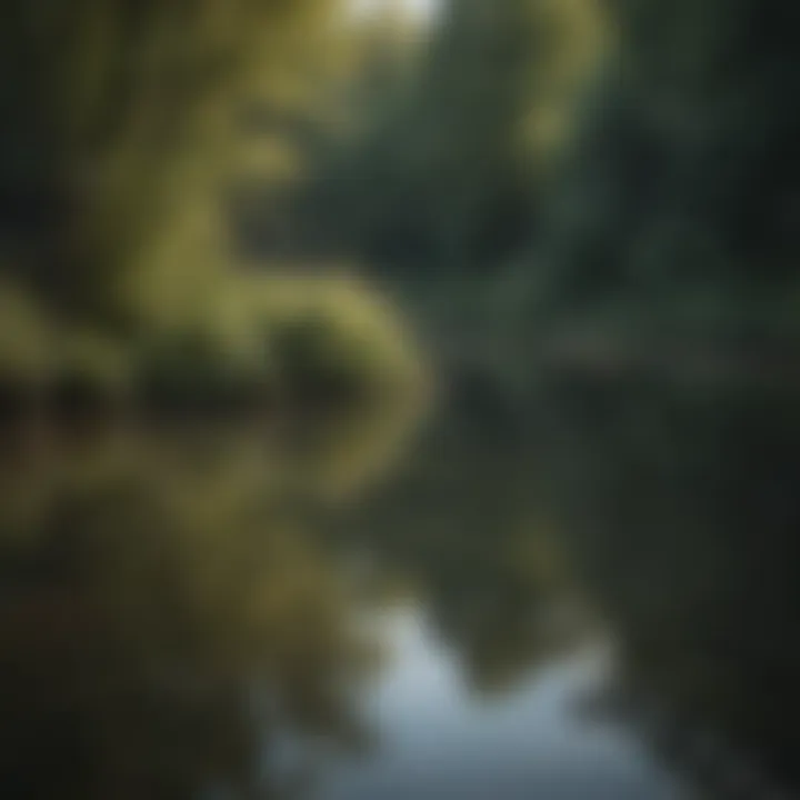 Tranquil Pond Reflection at Prestolite Arcade NY