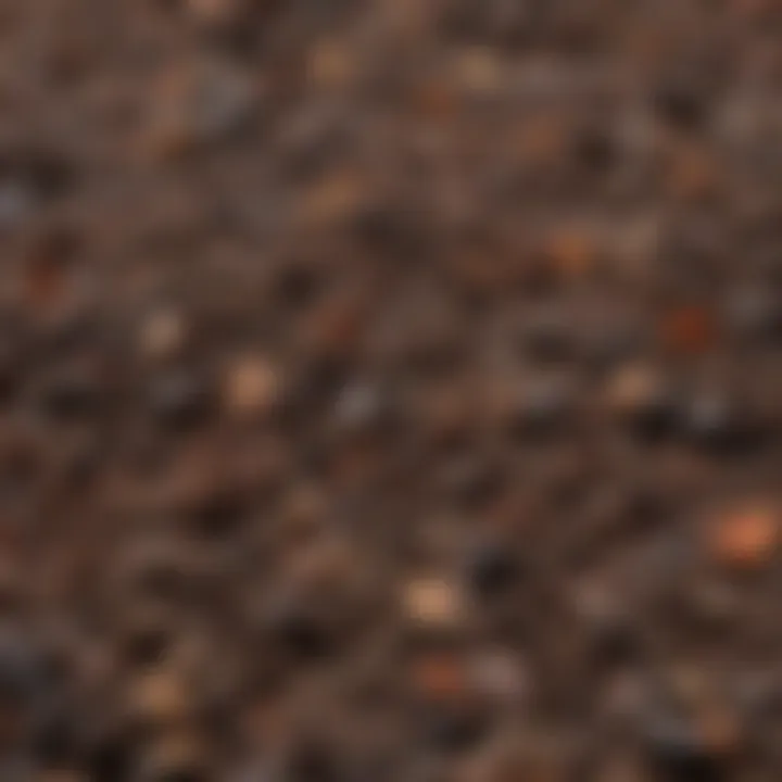 A close-up view demonstrating various types of treated mulch materials.