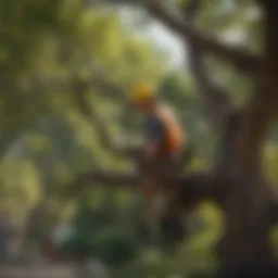 Professional tree pruning service by Spears Tree Service