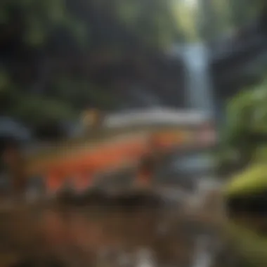 Trout license permit types exploration illustration