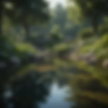 Lush Pond Landscape Creative visualization of a beautifully landscaped pond area