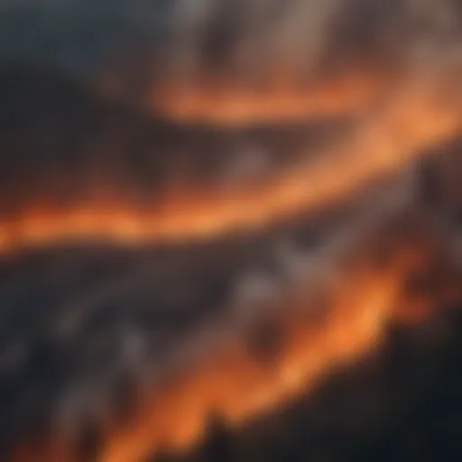 Aerial view of a forest engulfed in wildfire flames
