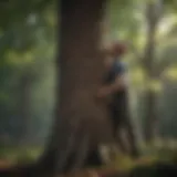 A certified arborist assessing a tree's health