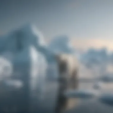 Visual representation of climate effects on polar ice caps